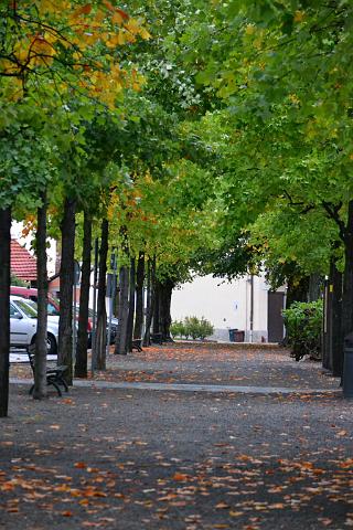 DSC_2757 (FILEminimizer).JPG